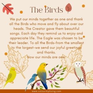 Image of illustrated birds. Words: We put our minds together as one and thank all the Birds who move and fly about over our heads. The Creator gave them the gift of beautiful songs. Each day they remind us to enjoy and appreciate life. The Eagle was chosen to be their leader, and to watch over the world. To all the Birds — from the smallest to the largest — we send our joyful greetings and our thanks. Now our minds are one.