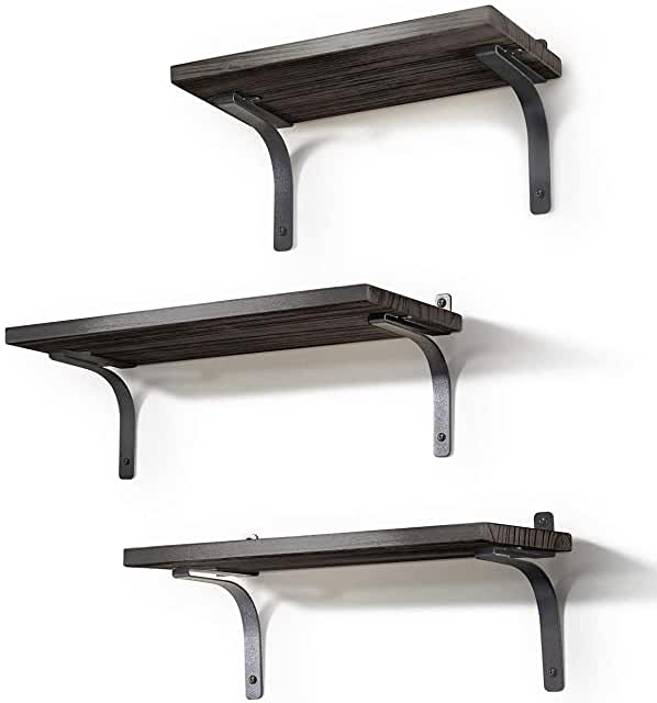 Ophanie Floating Shelves Wall Mounted