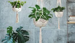 Macrame Plant Hangers