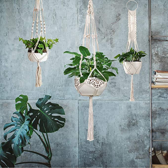 Macrame Plant Hangers