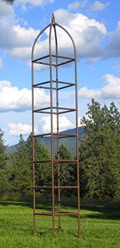 Garden Obelisk