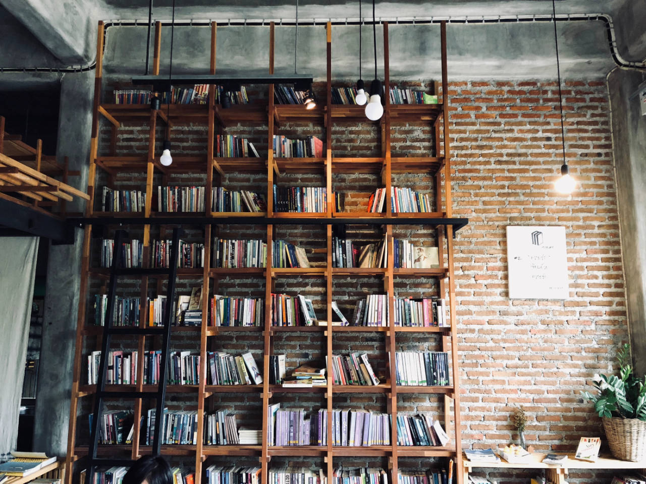 Full-wall rustic library