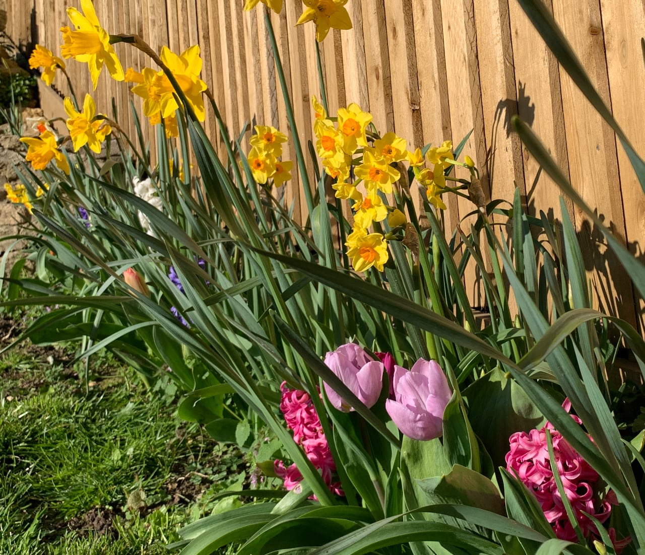 Flower Border