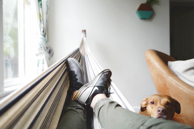 On a hammock with dog watching