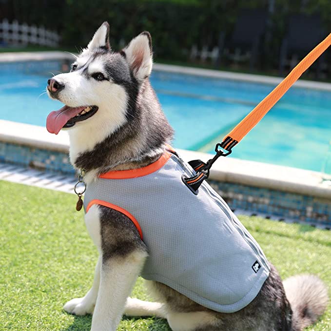 Dogs Cooling Vest