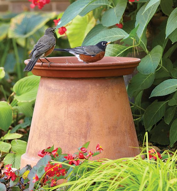 Flower Pot Bird Bath by Garden Gate