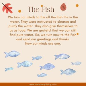 Image of an illustrated group of fish. Words: We turn our minds to all of the Fish life in the water. They were instructed to cleanse and purify the water. We are grateful that they continue to do their duties, and that we can still find pure water. So we send to the Fish our greetings and our thanks. Now our minds are one.
