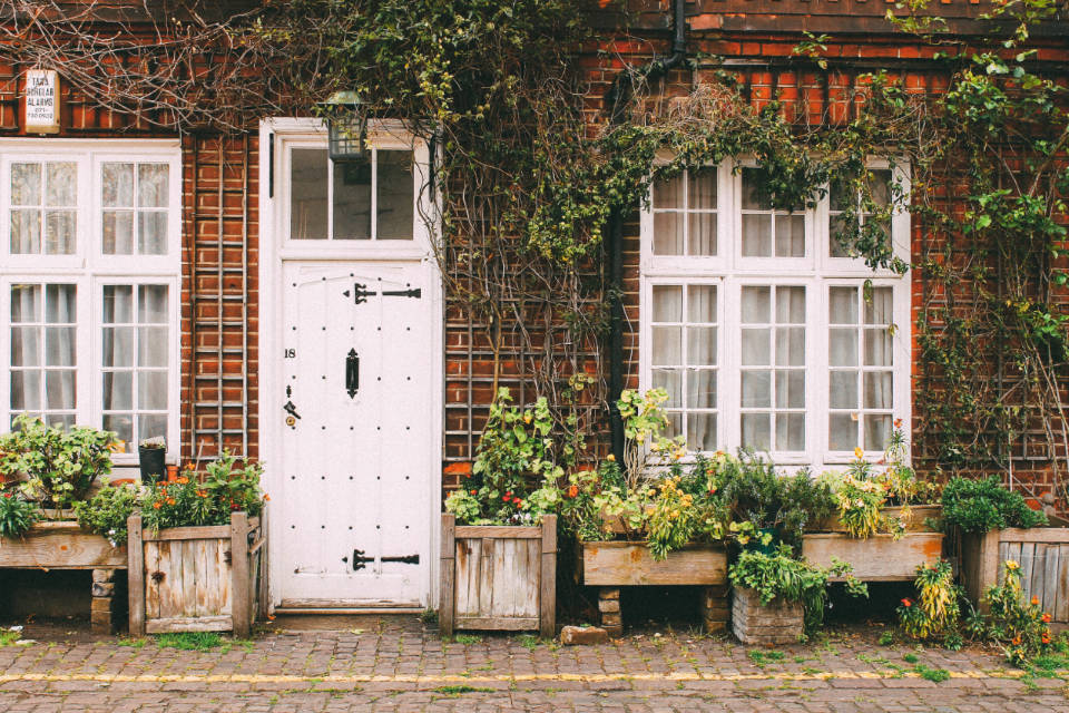 Assorted Planters