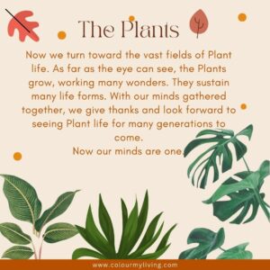 Image of an illustrated plants. Words: Now we turn toward the vast fields of Plants. As far as the eye can see, the Plants grow, working many wonders. They sustain many life forms. With our minds gathered together, we give our thanks and look forward to seeing Plant life continue for many generations to come. Now our minds are one.