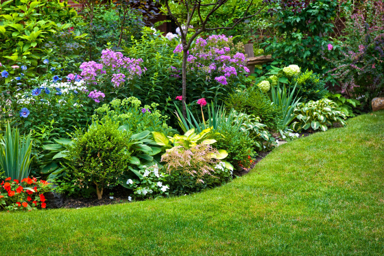 Perennial Garden