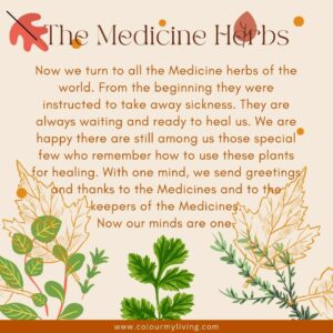Image of illustrated Medicine Herbs. Words:Now we turn to all the Medicine Plants of the world. From the beginning they were instructed to take away sickness. They are always waiting and ready to heal us. We are happy that there are still among us those special few who remember how to use these plants for healing. With one mind we send thanksgiving, love, and respect to the Medicines, and to the keepers of the Medicines. Now our minds are one.