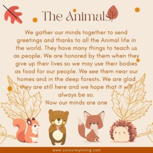 Image of illustrated animals - squirrel, bear, fox and hedgehog. Words: We gather our minds together to send our greetings and our thanks to all the Animal life in the world, who walk about with us. They have many things to teach us as people. We are grateful that they continue to share their lives with us and pray that it will always be so. Let us put our minds together as one and send our thanks to the Animals. Now our minds are one.