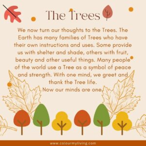 Image of illustrated trees. Words: We now turn our thoughts to the Trees. The Earth has many families of Trees who have their own instructions and uses. Some provide us with shelter and shade, others with fruit, beauty and other useful things. The Maple is the leader of the Trees, to recognize its gift of Sugar to the People when they need it most. Many people of the world use a Tree as a symbol of peace and strength. With one mind, we send our greetings and our thanks to the Tree life. Now our minds are one.