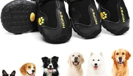 Dog Boots to Protect Their Paws