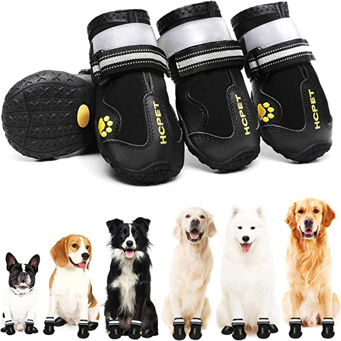 Dog Boots to Protect Their Paws