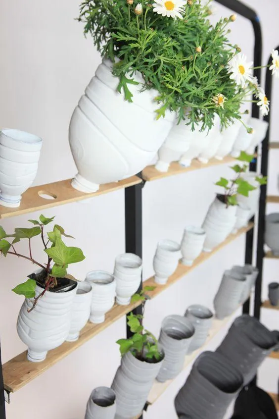 Flower and Planter Rack with Plastic Bottles of Different Sizes