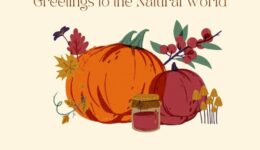 Image of squashes and a cork-topped jar with autumn leaves and mushrooms in the middle of the picture with the words Haudenosaunee Thanksgiving Address Greetings to the Natural World at the top and Giving Thanks at Thanksgiving and www.colourmyliving.com at the bottom