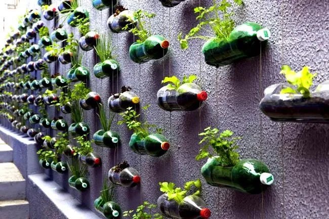 Large Scale Plastic Bottles Wall Planter Installation
