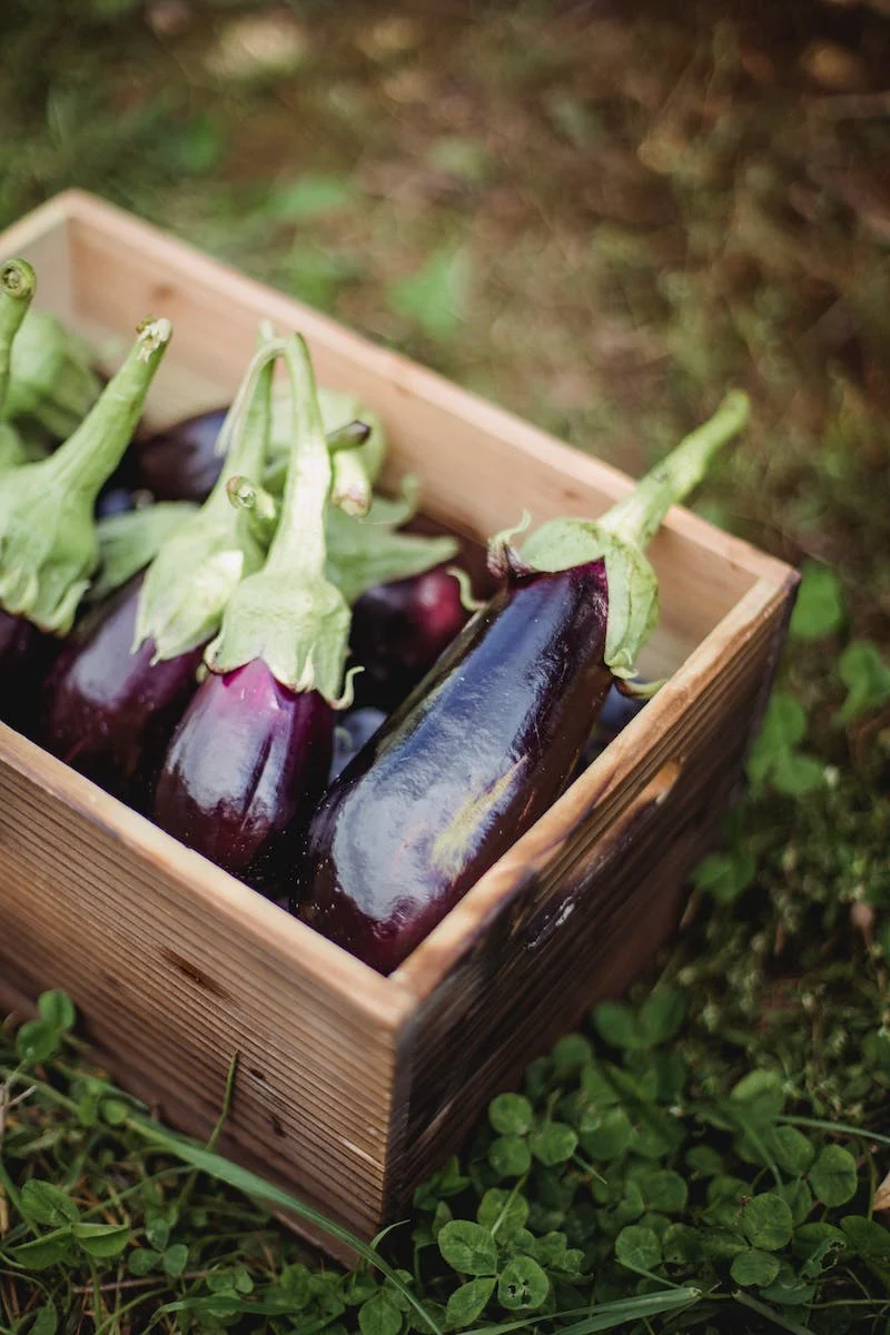 Grow Your Own Produce