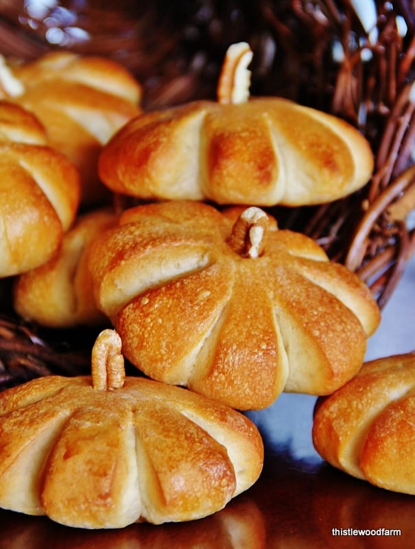 A collection of bread rolls shaped as mini pumpkins