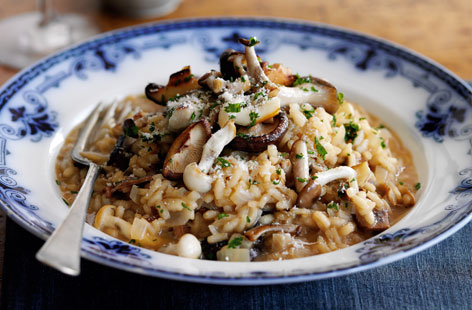 Risotto Risotto
