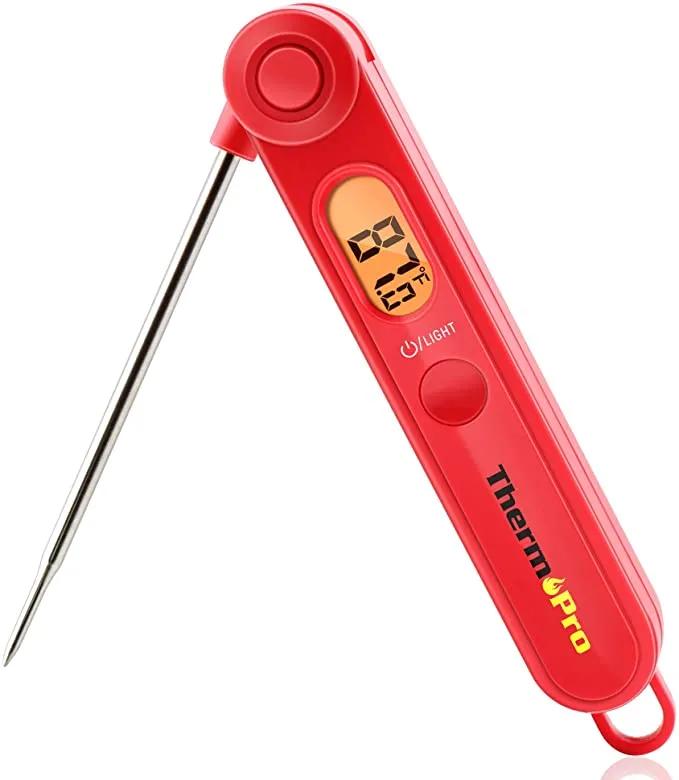 Digital-Thermometer