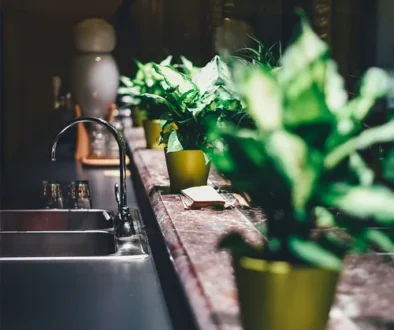 AirClensingIndoorPlants