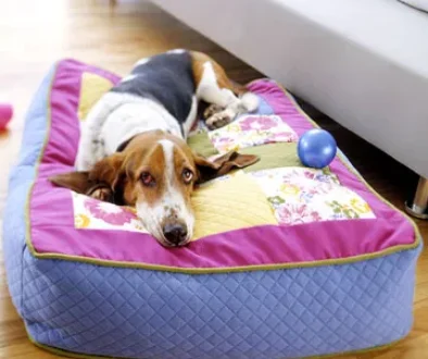 DIYdogbed