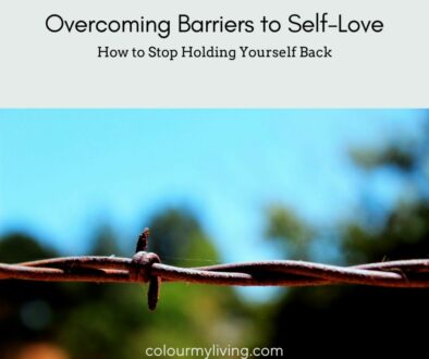 Text: Overcoming Barriers to Self Love How to Stop Holding Yourself Back. Colourmyliving.com Image of barbed wire against a blurry background of blue sky and trees.