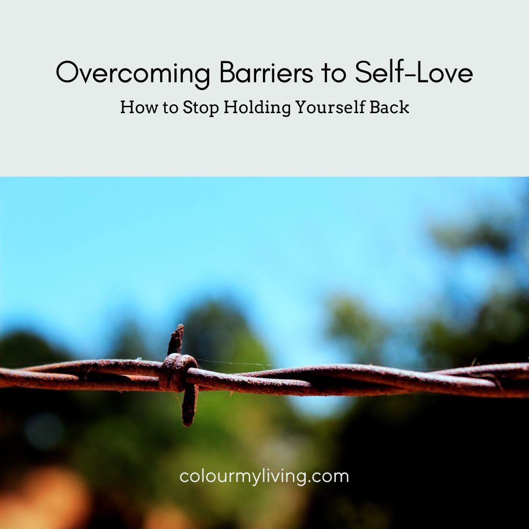 Text: Overcoming Barriers to Self Love How to Stop Holding Yourself Back. Colourmyliving.com Image of barbed wire against a blurry background of blue sky and trees.