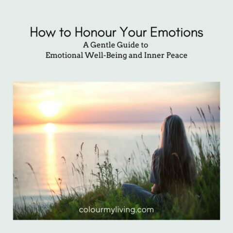 Text: how to honour your emotions: a gentle guide to emotional well-being and inner peace Image: Sillouhette of a girl facing the sunrise over a lake