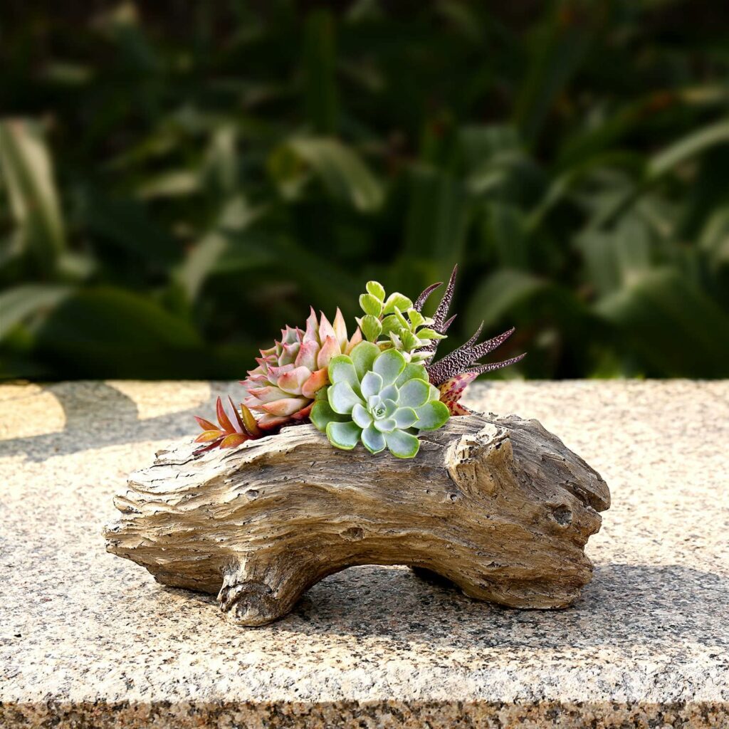Aclema Succulent Planters Driftwood Planter